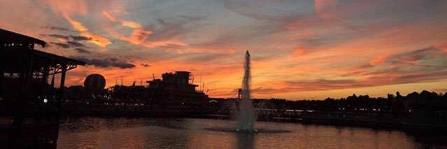 lilyRodzGo's profile banner image