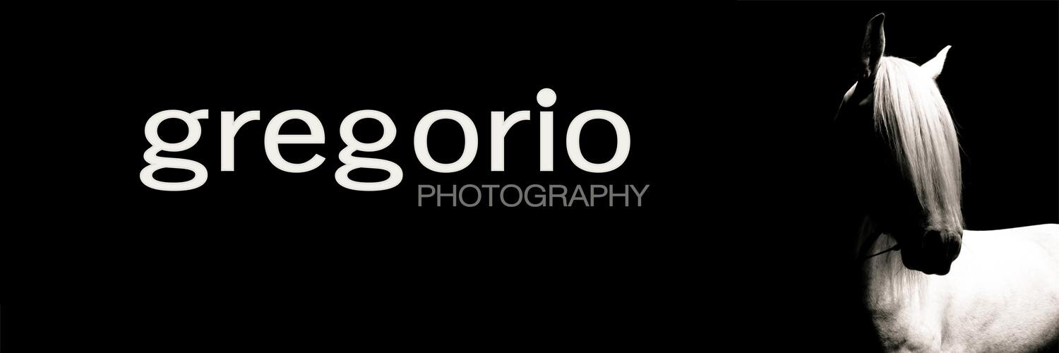 Ronda Gregorio banner