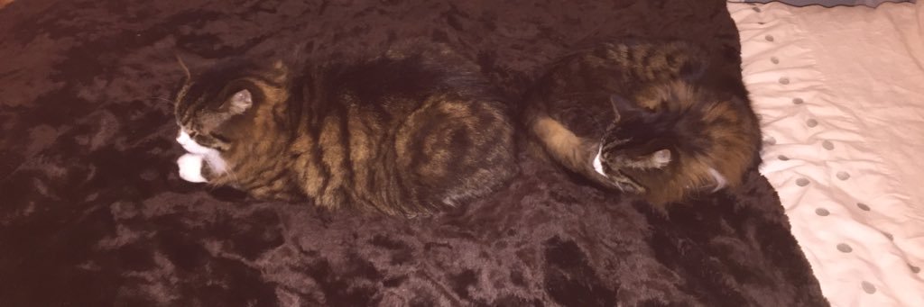 Craig Robinson banner