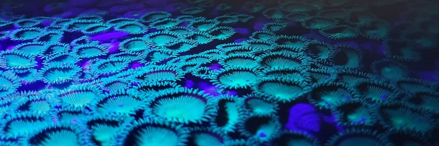 Sudarshan Pawar banner