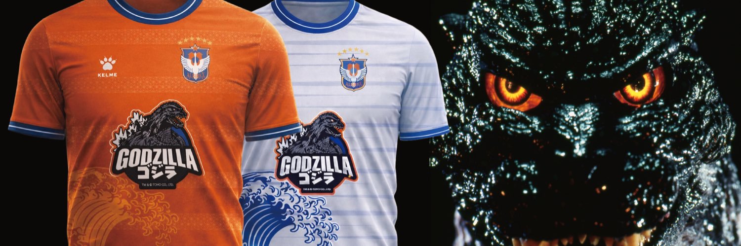 Albirex Niigata FC (S) / アルビレックス新潟シンガポール banner