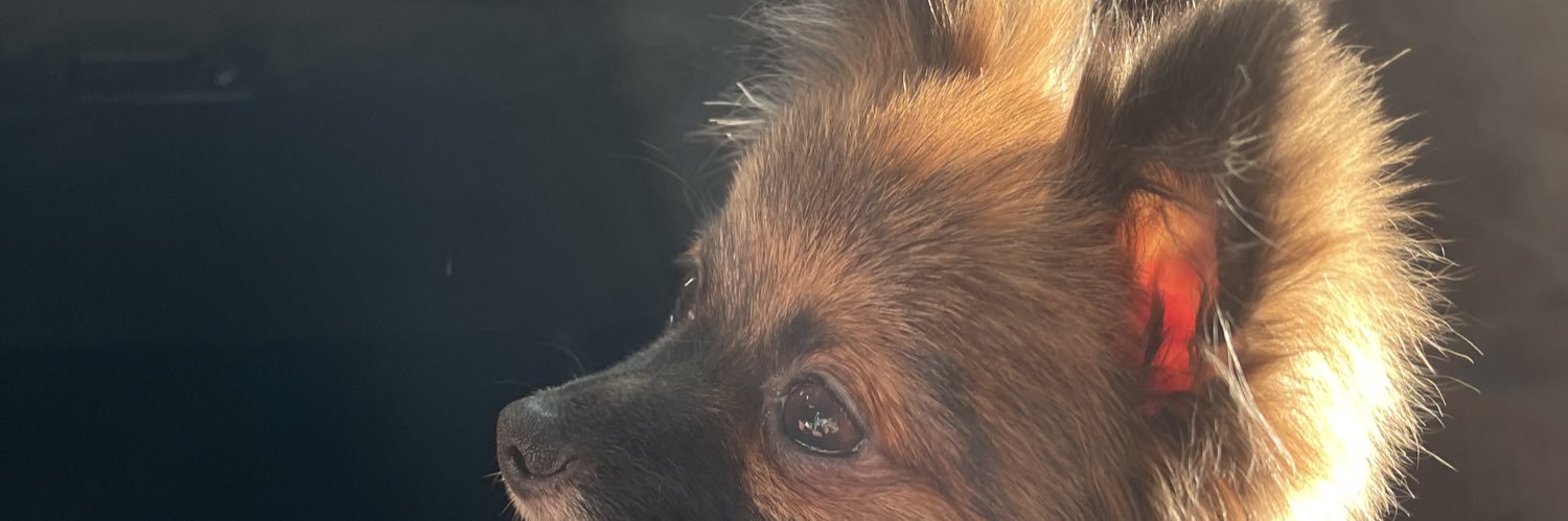 rjacintoo's profile banner image