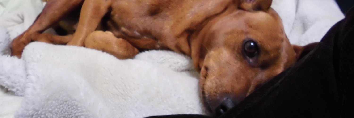 所長さん（じゅうきゅうさいＪD） banner