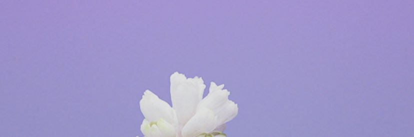 Hassan Radda Jr. banner