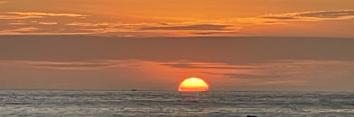 Veronica Mosquera banner