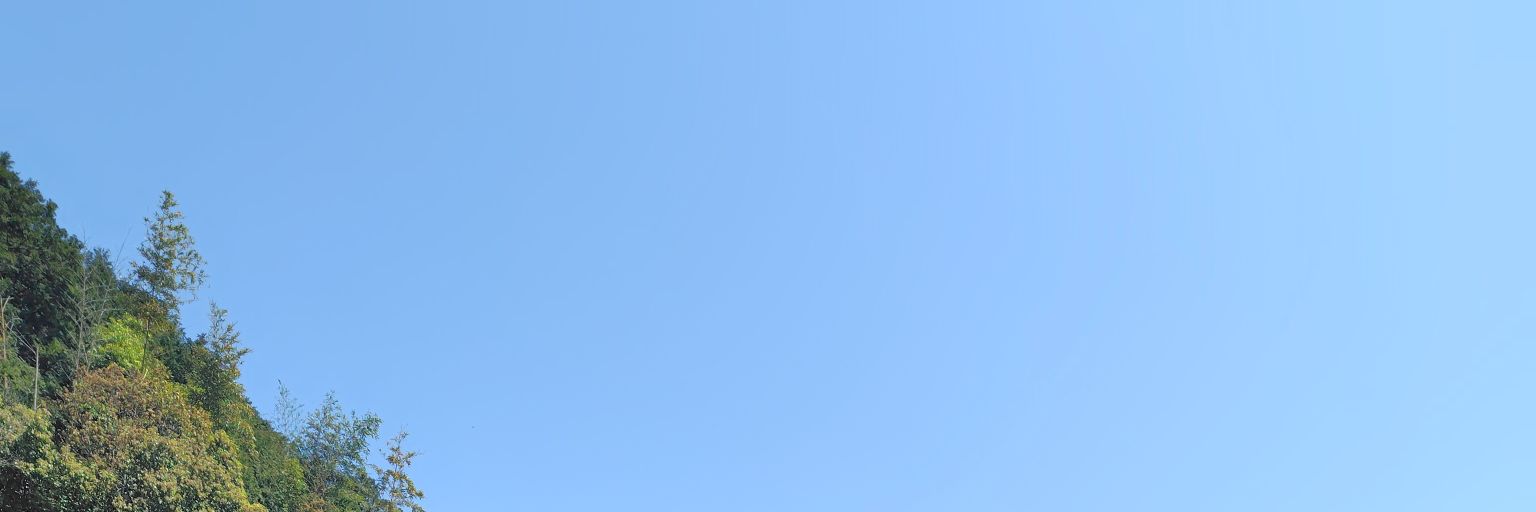 まめち banner