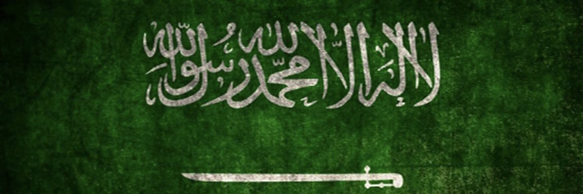 MaeMozaini's profile banner image
