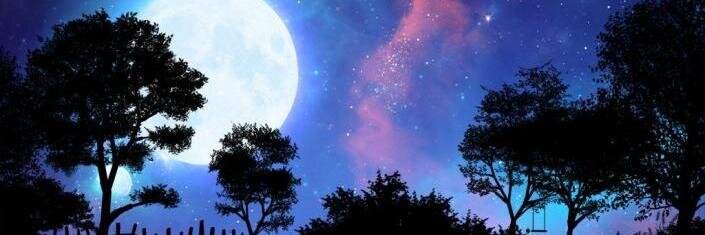 mara0531's profile banner image