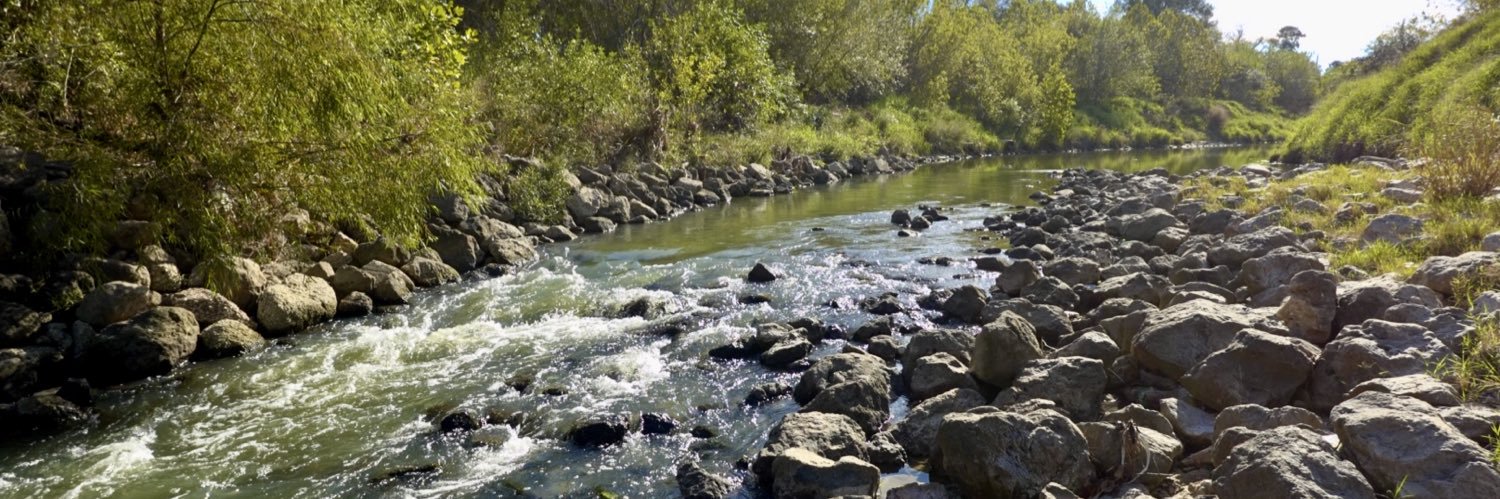 nick 🇵🇸 👈🏻 banner