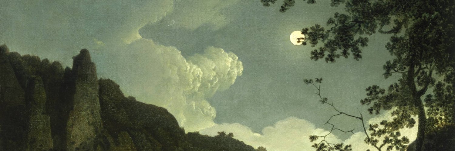 sarananigans's profile banner image