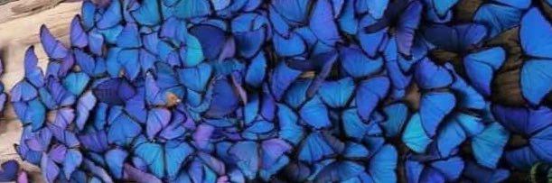 lucylinghersi's profile banner image