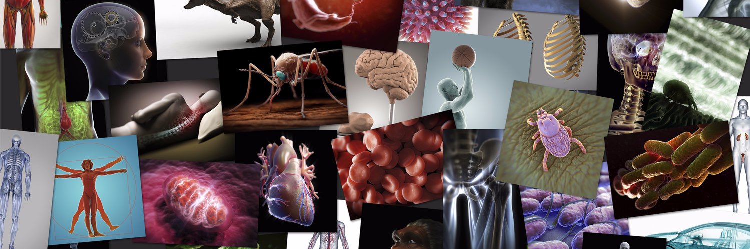 Science Picture Company banner