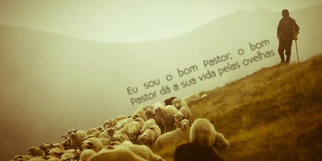 mvfsantos's profile banner image