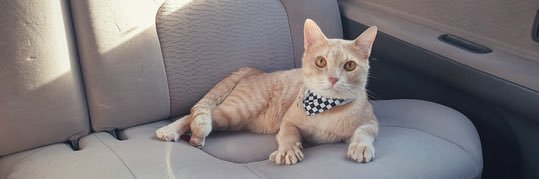 mouse5963's profile banner image