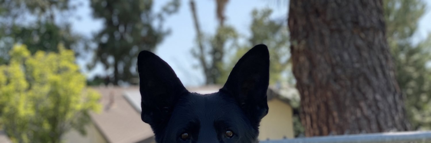 layloo_r's profile banner image