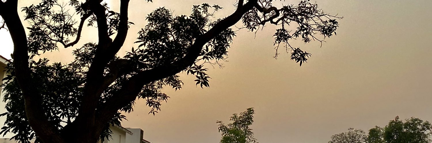 divya_johnson's profile banner image