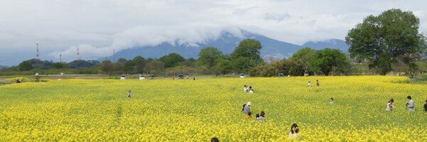 hiroko Profile Banner