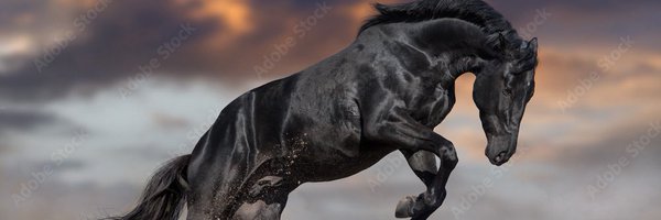 MyJacky8507 Profile Banner