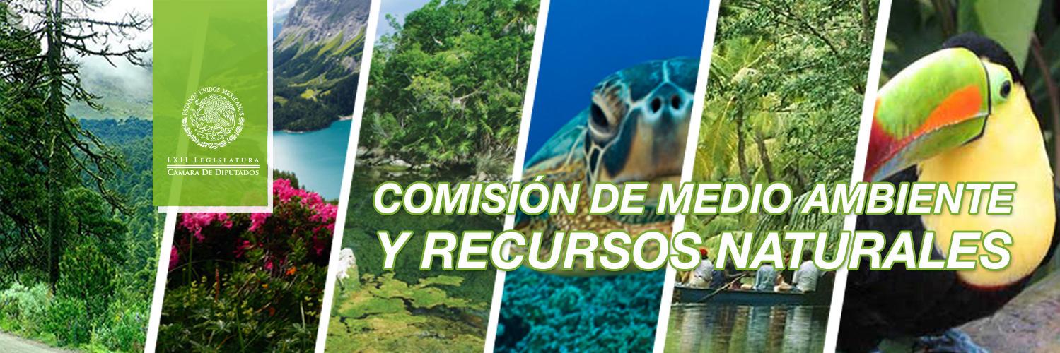 ComarnatMX's profile banner image