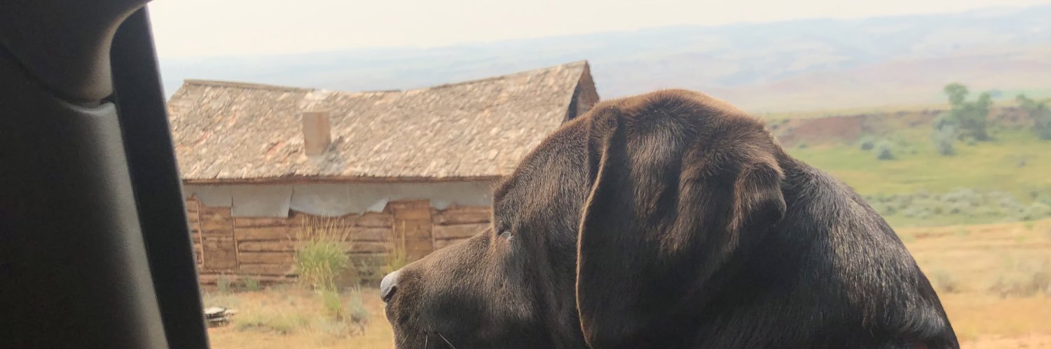 YourAddiction banner