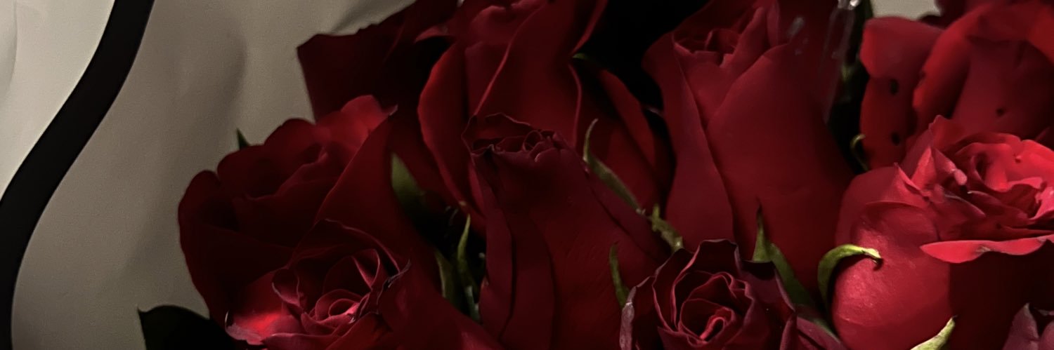 sofiadelagarzai's profile banner image