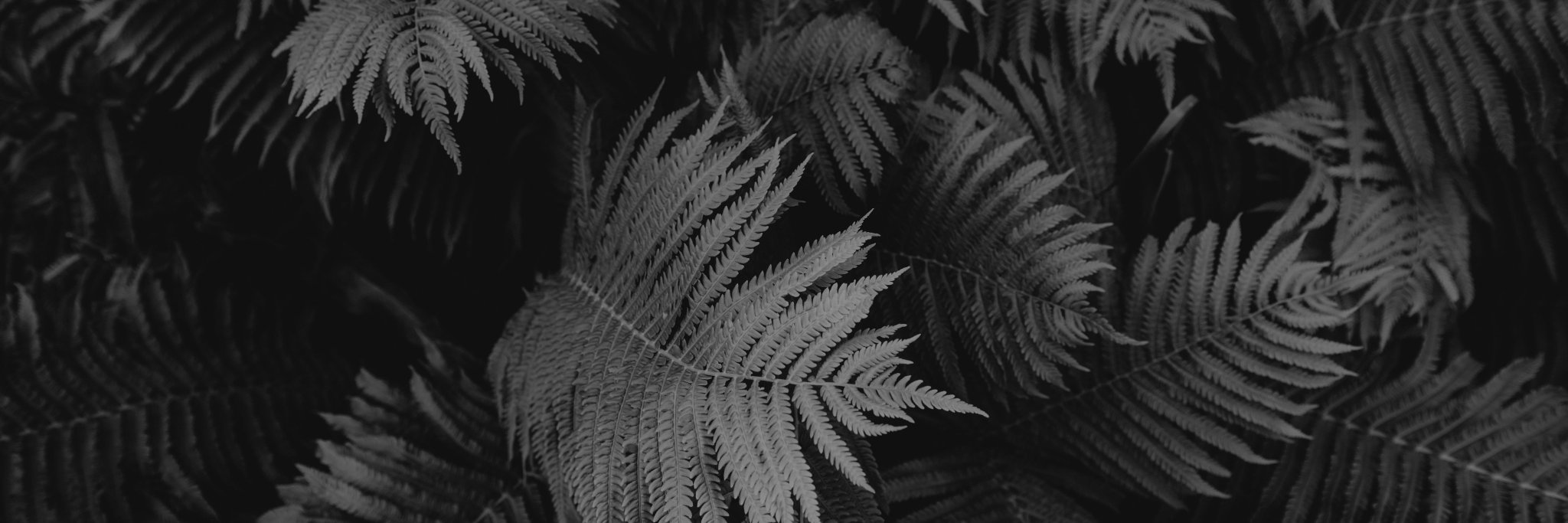 abrahamzoesa's profile banner image
