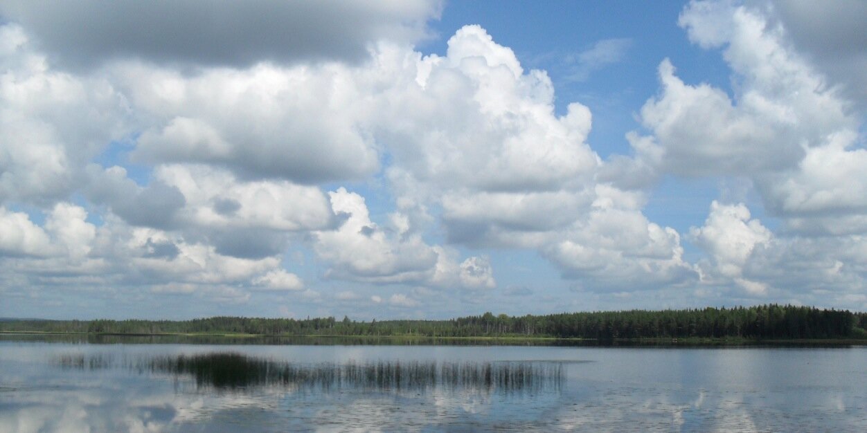 Stiernhooksbib's profile banner image