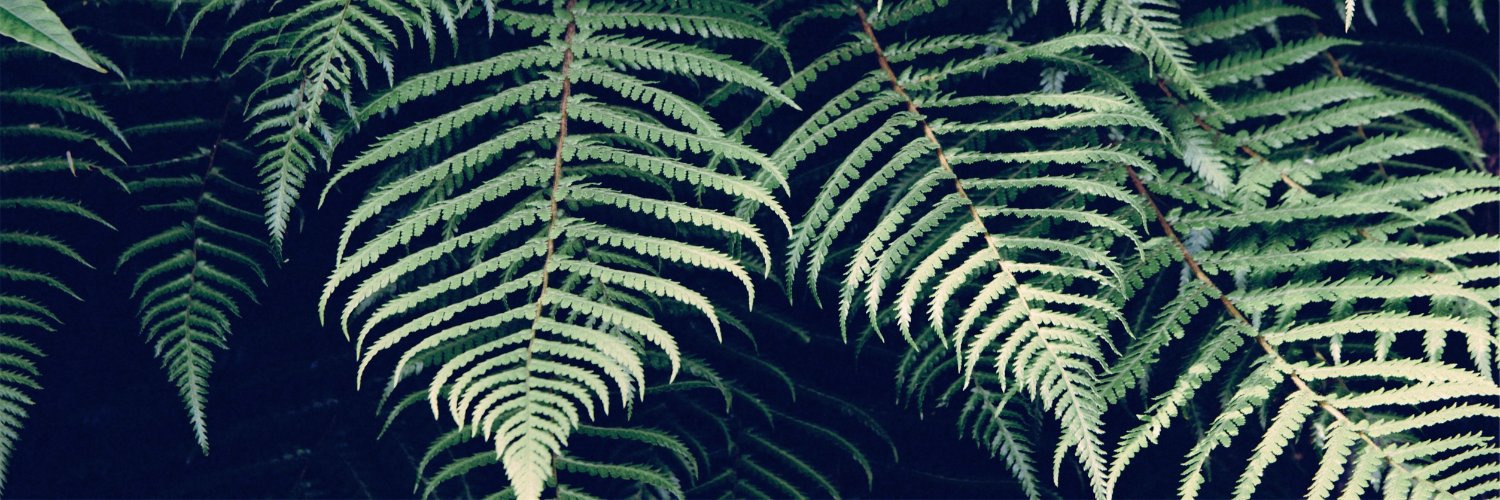 alisonbarbour's profile banner image