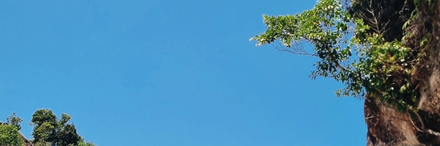 suddenshower_'s profile banner image