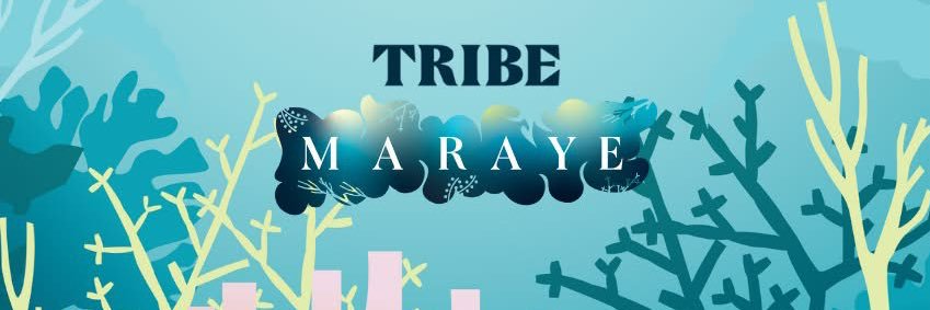 TRIBE banner