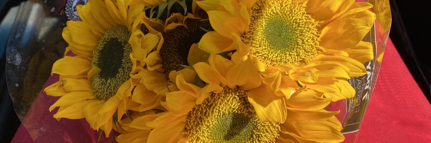 Bethhbee_'s profile banner image