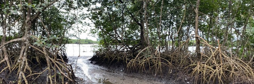 Kingsley Adindu banner