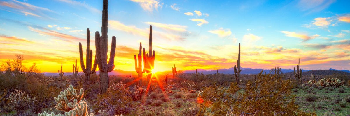 LaCavernadePlatón banner