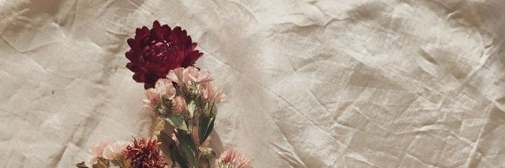 acupofteaaah's profile banner image