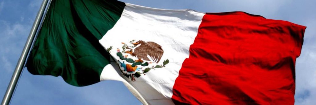 Magda Sánchez banner