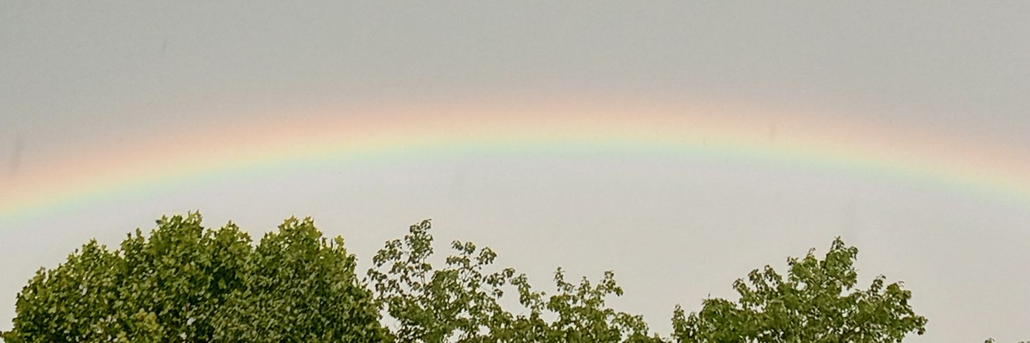 naturalchaotic's profile banner image