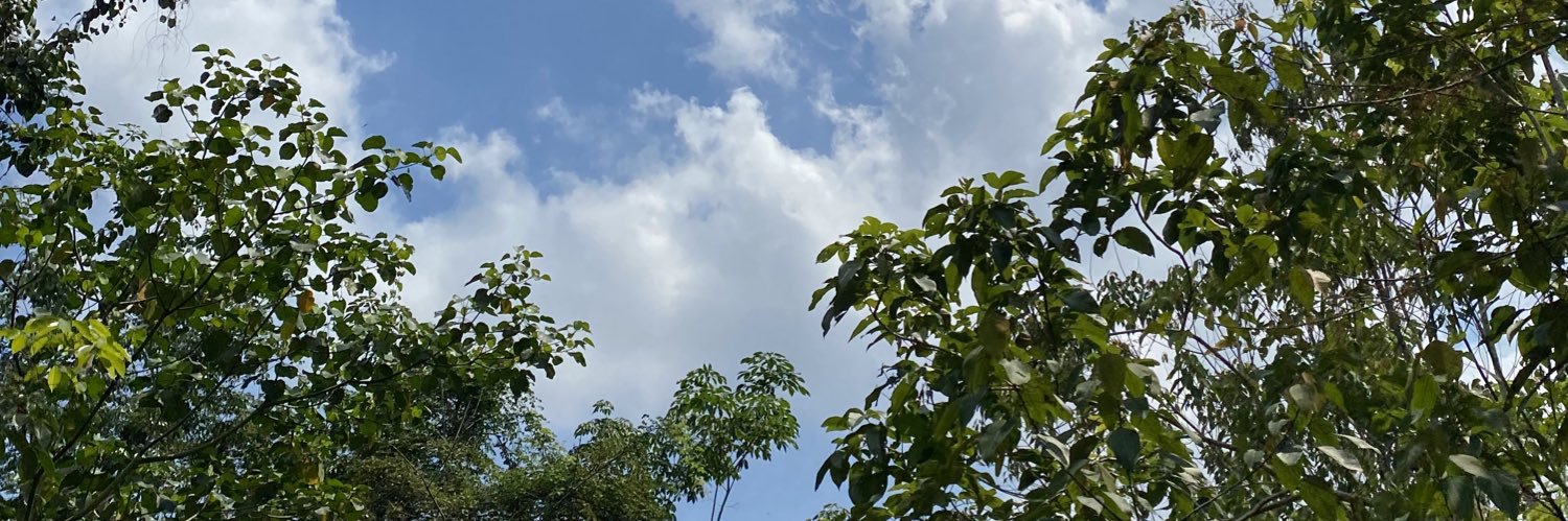 facfasihah's profile banner image