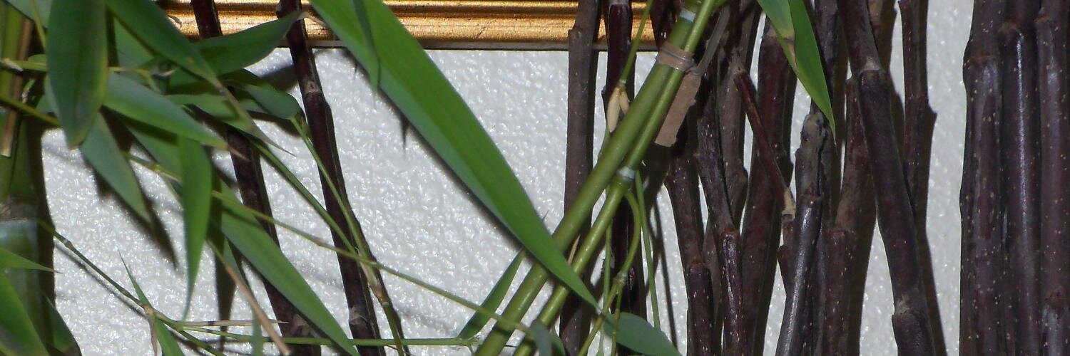 Soryss69's profile banner image
