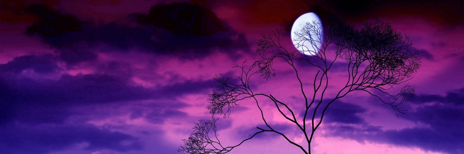 ZoMoee's profile banner image