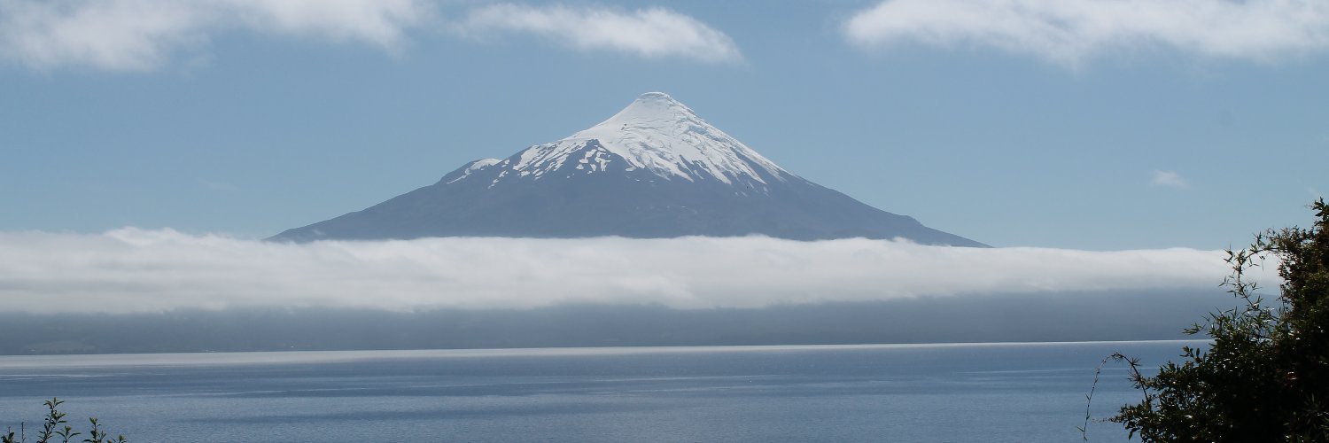 Michele Borges banner