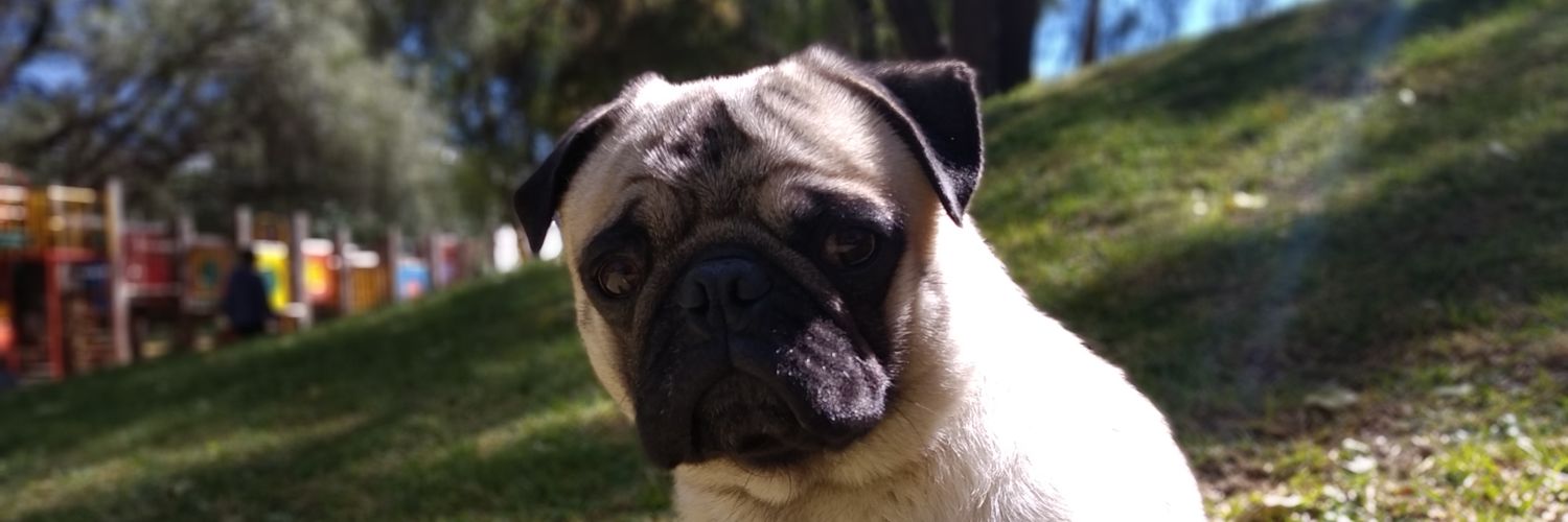 JdCarter's profile banner image