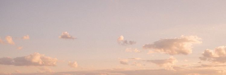 sheleocy's profile banner image