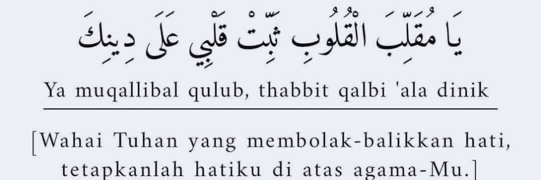 illiFadli™🇲🇾🌺 🌈#FREEPALESTINE🇵🇸 banner