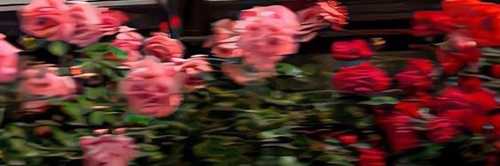 cewinaa's profile banner image