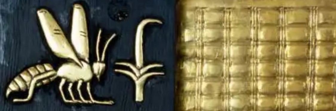 calivortex's profile banner image