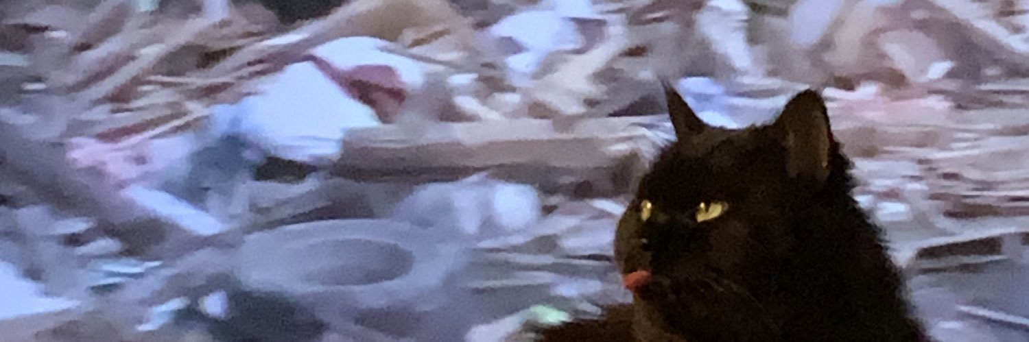GutsXp's profile banner image