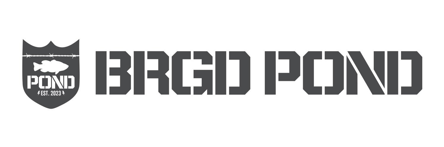 BRGDPOND's profile banner image