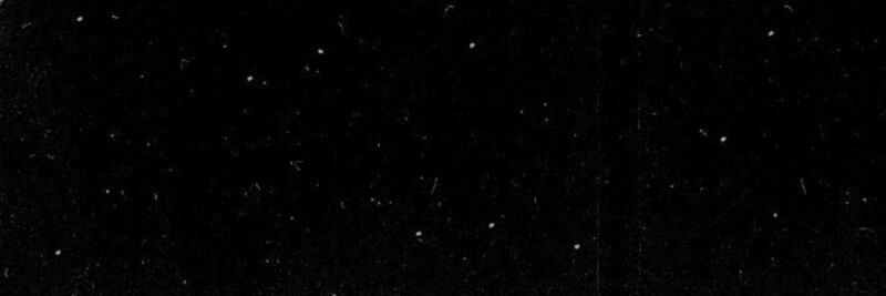 Iendeadaha banner