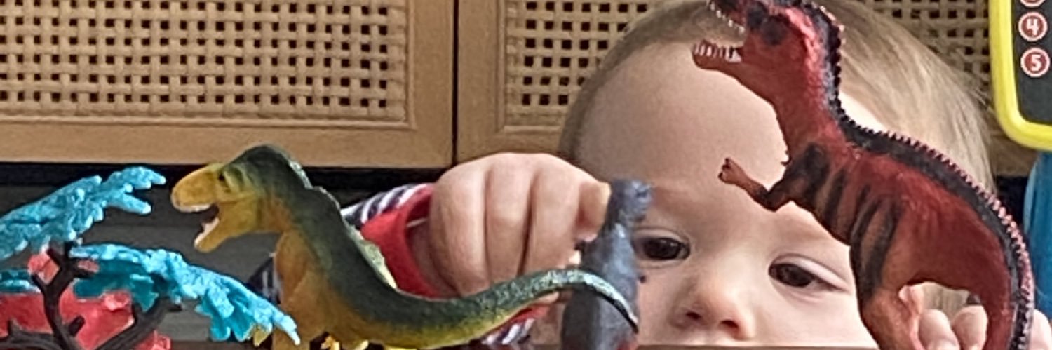 ColeisSmiley's profile banner image