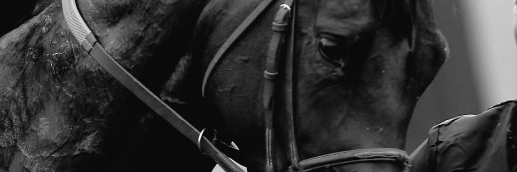 alzhofi's profile banner image